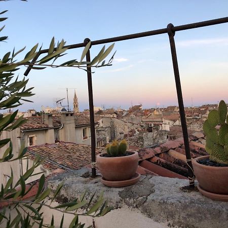Appartement Avec Terrasse Panoramique Au Coeur De นีมส์ ภายนอก รูปภาพ