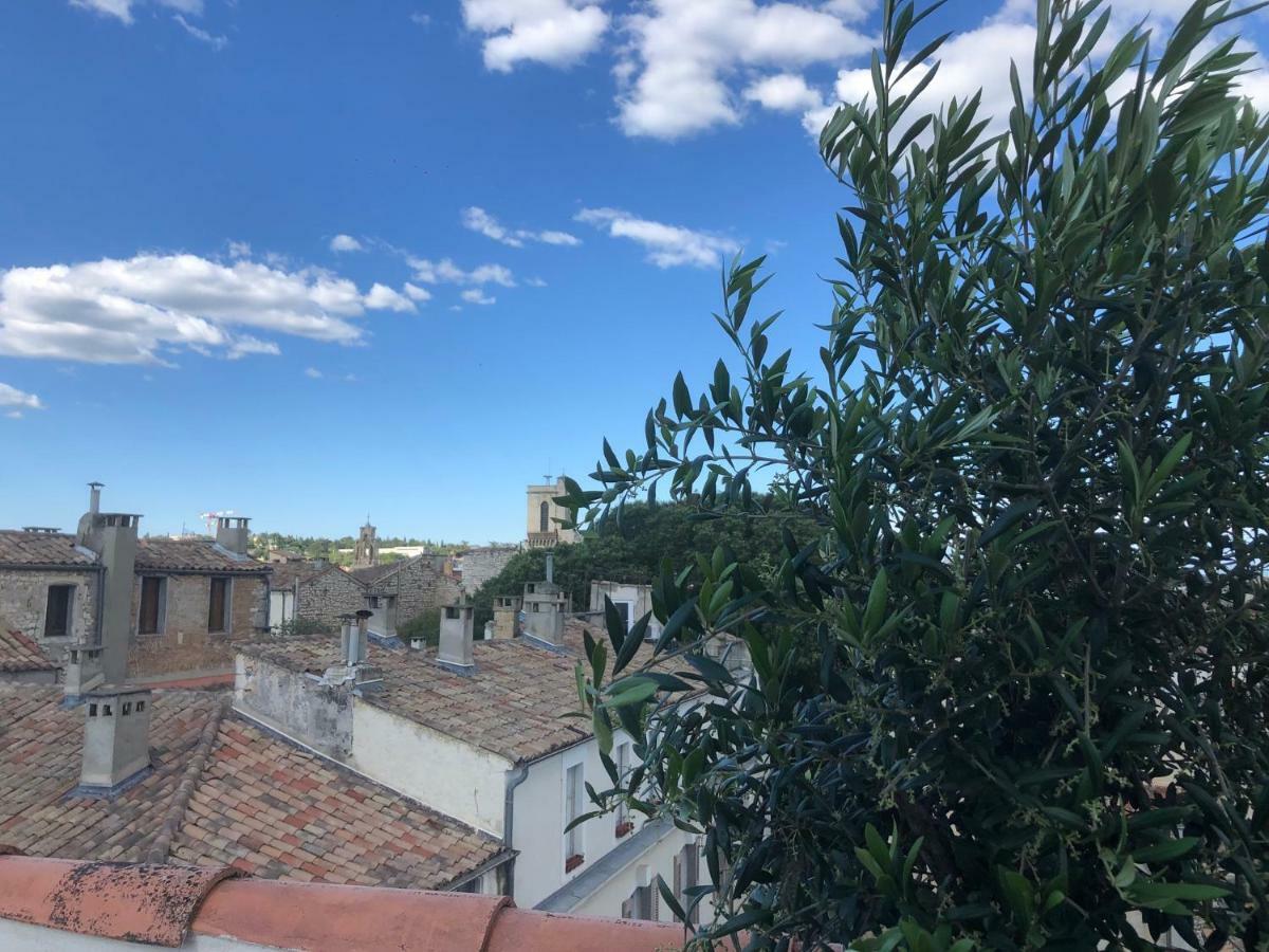 Appartement Avec Terrasse Panoramique Au Coeur De นีมส์ ภายนอก รูปภาพ